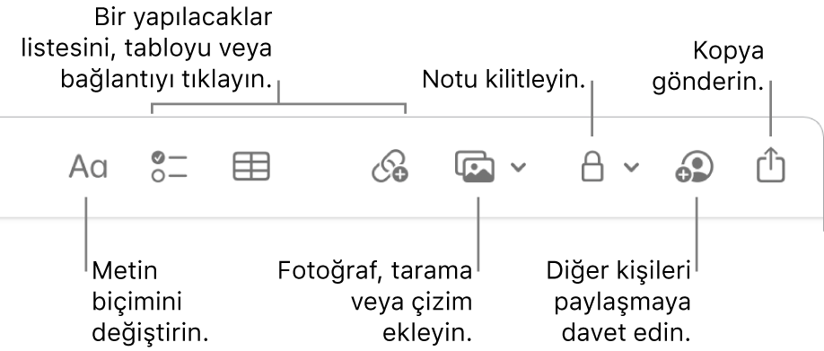 Metin biçimi belirtme çizgileri, yapılacaklar listesi, tablo, bağlantı, fotoğraflar/ortam, kilitleme, paylaşma ve kopya gönderme araçları ile Notlar araç çubuğu.