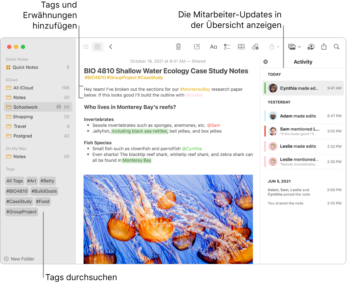 Ein Notizen-Fenster in der Galerie mit einer Beschriftung für die Tags in der Seitenleiste. In der Hauptnotiz ist eine Beschriftung für ein Tag und eine Erwähnung zu sehen. Rechts befindet sich eine Aktivitätsliste mit einer Beschriftung zum Anzeigen einer Zusammenfassung der aktuellen Infos.