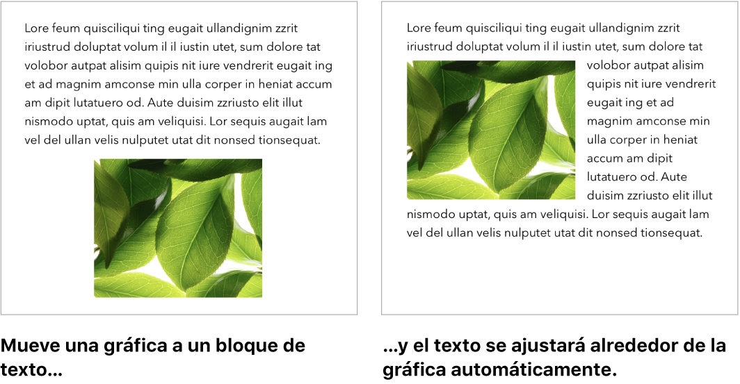 Una ventana de Pages mostrando cómo el texto se ajusta alrededor de las imágenes.