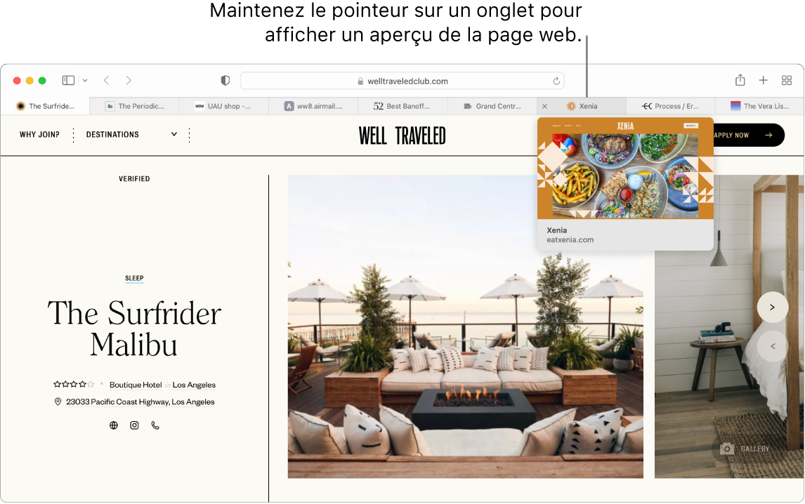 Une fenêtre Safari avec une page web active appelée « Well Traveled », avec neuf autres onglets, et une légende pour un aperçu de l’onglet « Grand Central Market » avec le texte « Maintenez le pointeur sur un onglet pour voir un aperçu de la page web ».