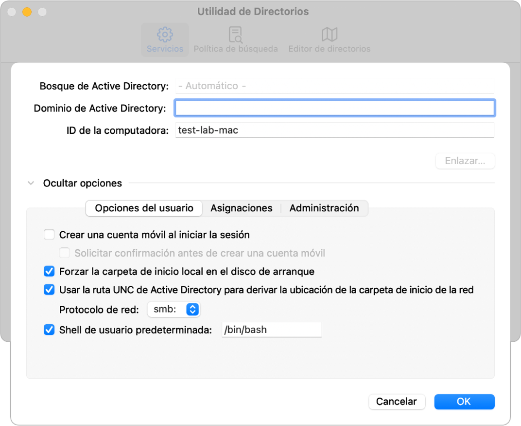 El cuadro de diálogo de configuración de Active Directory con la sección de opciones ampliada.