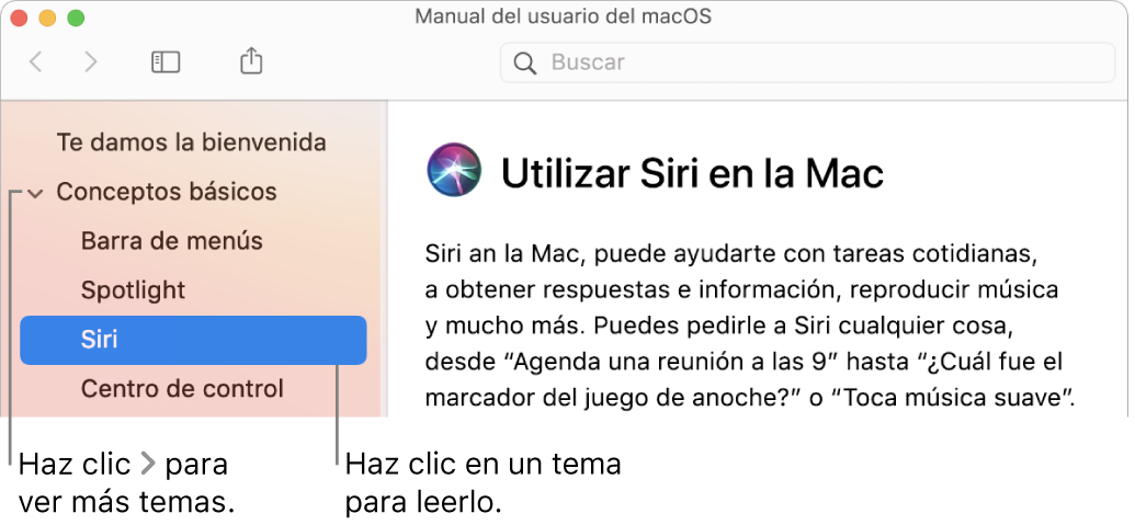 Visor de Ayuda mostrando cómo ver temas en la barra lateral y cómo mostrar el contenido de un tema.