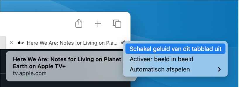 Het submenu van het audiosymbool, met 'Schakel geluid van dit tabblad uit', 'Activeer beeld in beeld' en onderdelen voor automatisch afspelen.