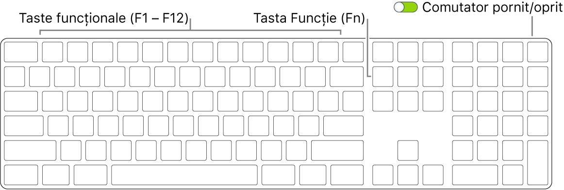 Magic Keyboard prezentând tasta Funcție (Fn) din colțul din stânga jos și comutatorul de pornire/oprire din colțul din dreapta sus a tastaturii.