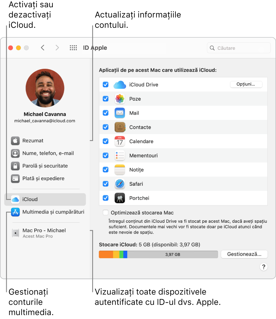 Panoul ID Apple din Preferințe sistem. Faceți clic pe un articol din bara laterală pentru a actualiza informațiile contului dvs., activați sau dezactivați iCloud, gestionați conturile multimedia și vizualizați toate dispozitivele pe care v-ați autentificat cu ID-ul Apple.