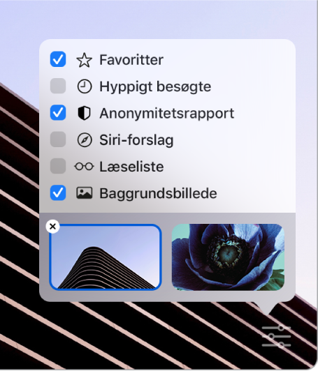 Lokalmenuen Indstil Safari med afkrydsningsfelter til Favoritter, Hyppigt besøgte, Anonymitetsrapport, Siri-forslag, Læseliste og Baggrundsbillede.