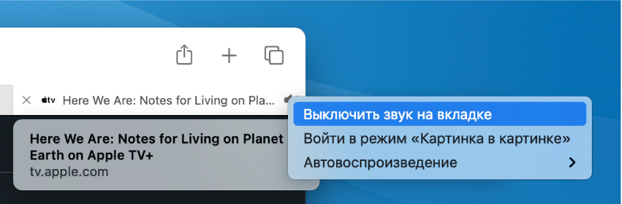 Подменю, которое открывается при нажатии значка «Аудио»: «Выключить звук на вкладке», «Войти в режим “Картинка в картинке”» и «Автовоспроизведение».