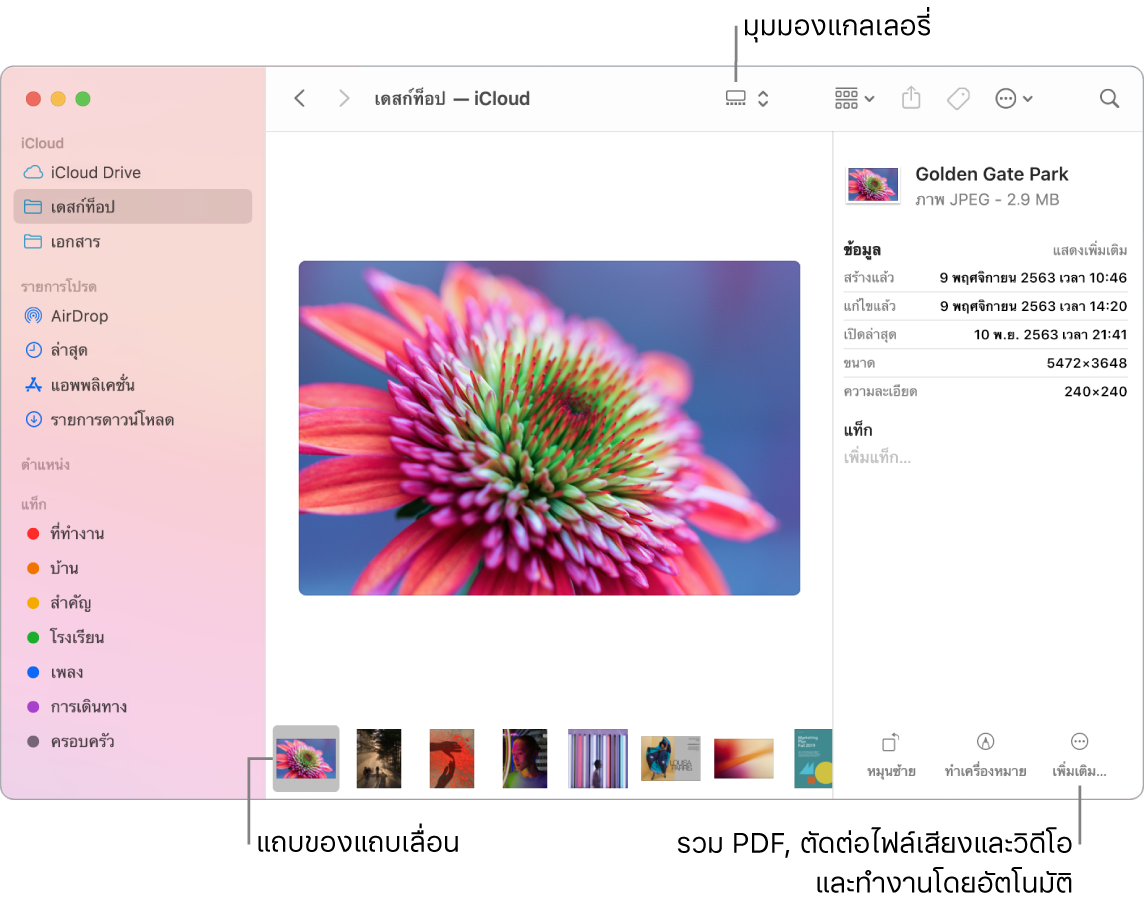 หน้าต่าง Finder ที่เปิดอยู่ในมุมมองแกลเลอรี่ ซึ่งแสดงรูปภาพขนาดใหญ่ที่มีแถวของรูปภาพขนาดเล็กกว่า เรียกว่าแถบของแถบเลื่อน ซึ่งอยู่ด้านใต้รูปภาพขนาดใหญ่ ตัวควบคุมสำหรับหมุน ทำเครื่องหมาย และอื่นๆ อยู่ทางด้านขวาของแถบของแถบเลื่อน