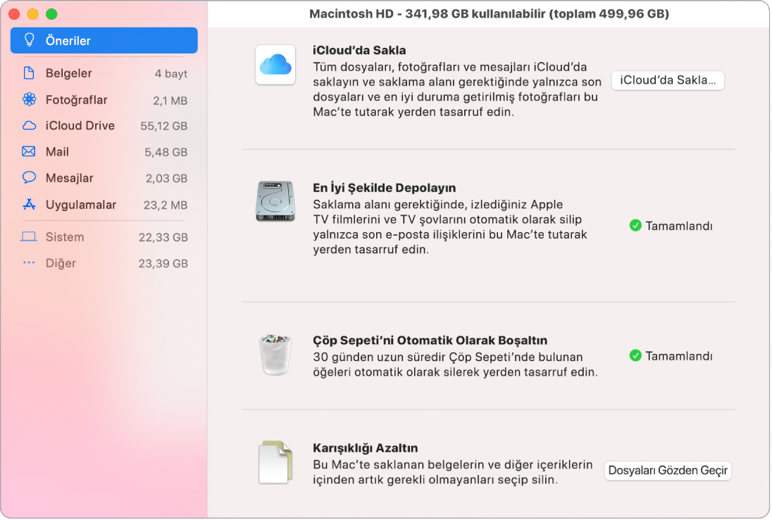 iCloud’da Depola, Depolamayı İyi Duruma Getir, Çöp Sepetini Otomatik Olarak Sil ve Karışıklığı Azalt seçeneklerini gösteren depolamaya yönelik Öneriler tercihleri.