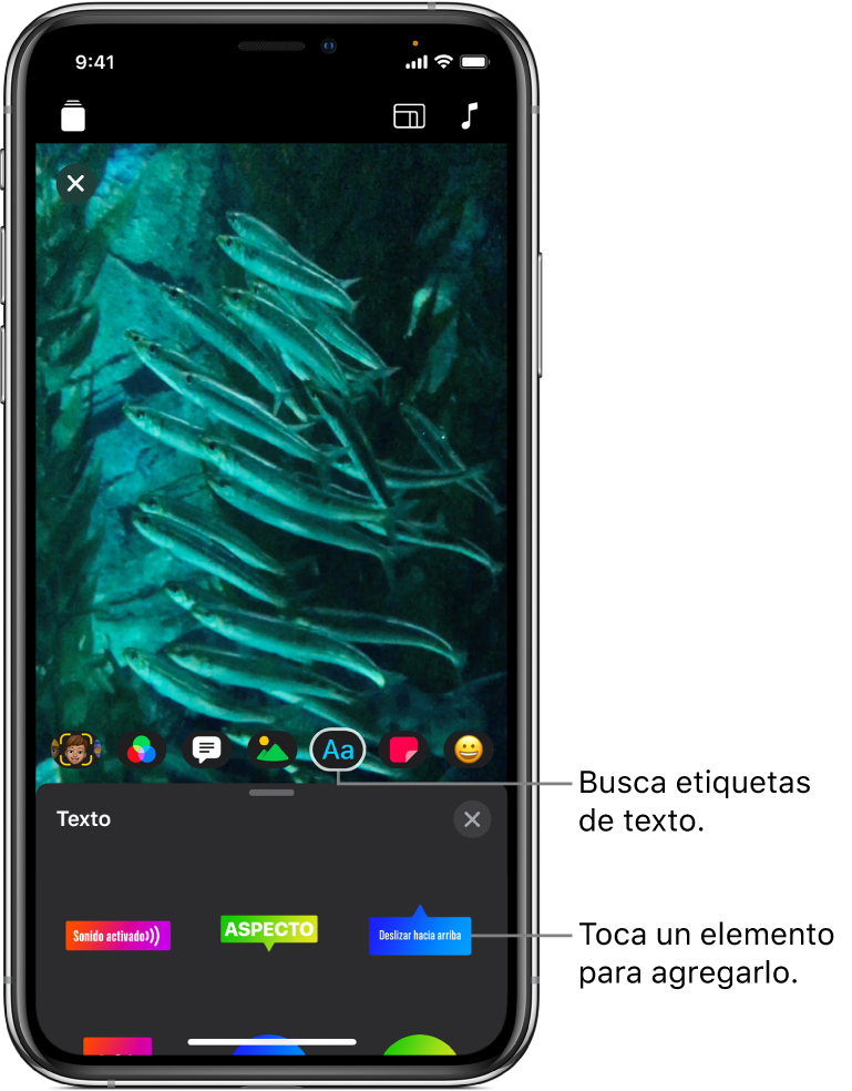 La imagen de un video en el visor, con el botón Texto seleccionado y opciones de etiquetas de texto debajo.