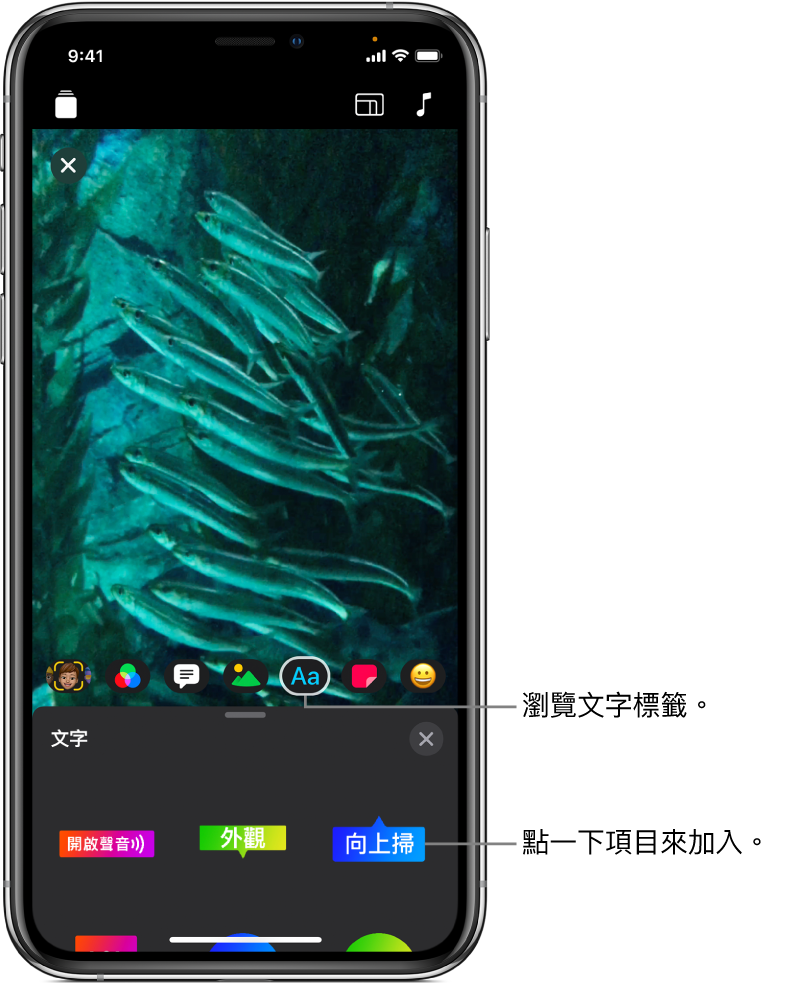檢視器中的影片影像，已選擇「文字」按鈕，其下方為文字標籤選項。