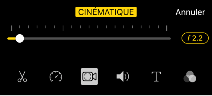 Le curseur « Profondeur de champ », disponible lorsque vous touchez le bouton Cinématique.