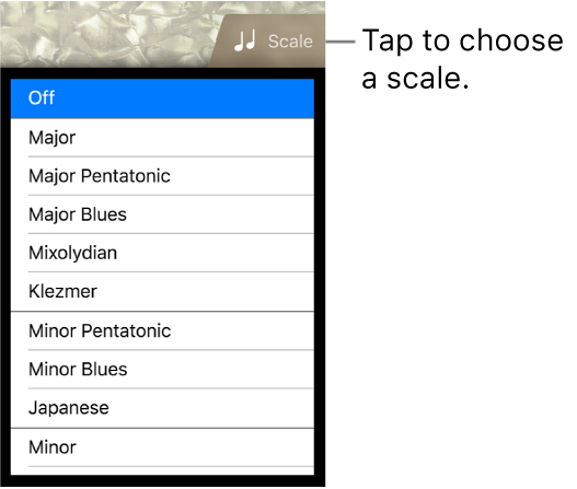 Bass Scale button and Scale list