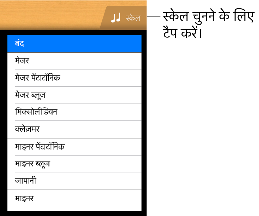 “गिटार स्केल” बटन और स्केल सूची