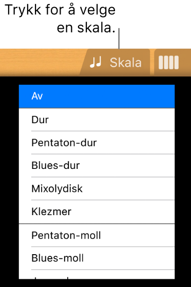 Skala-knapp for Gitar