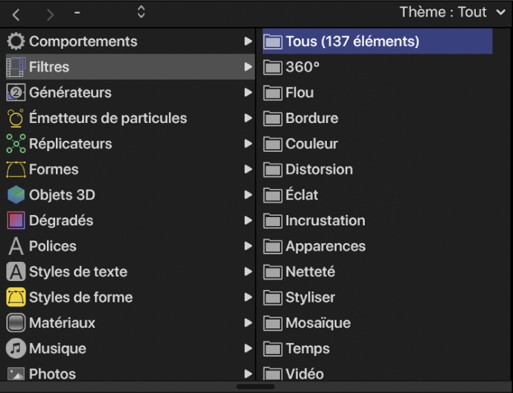 Catégories de filtres dans la bibliothèque