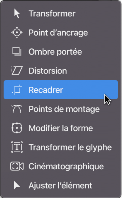 Sélection de l’outil Recadrage dans le menu local des outils de transformation