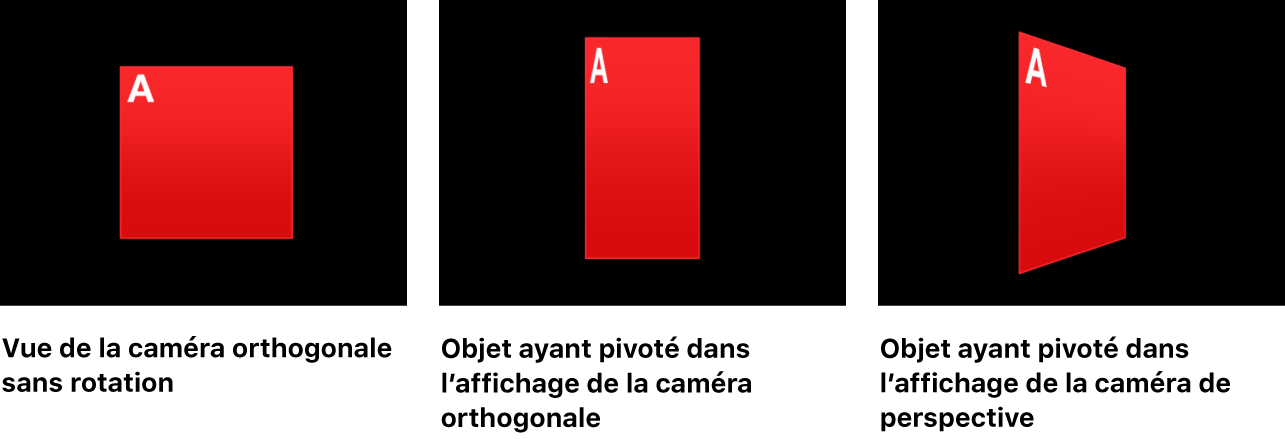 Canevas affichant un objet sans rotation et avec rotation dans une présentation de caméra orthogonale et dans une présentation de caméra en perspective