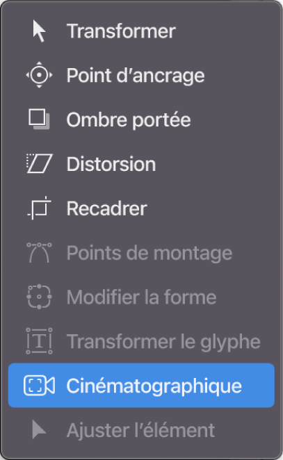 Sélection de l’outil Cinématographique dans la barre d’outils du canevas