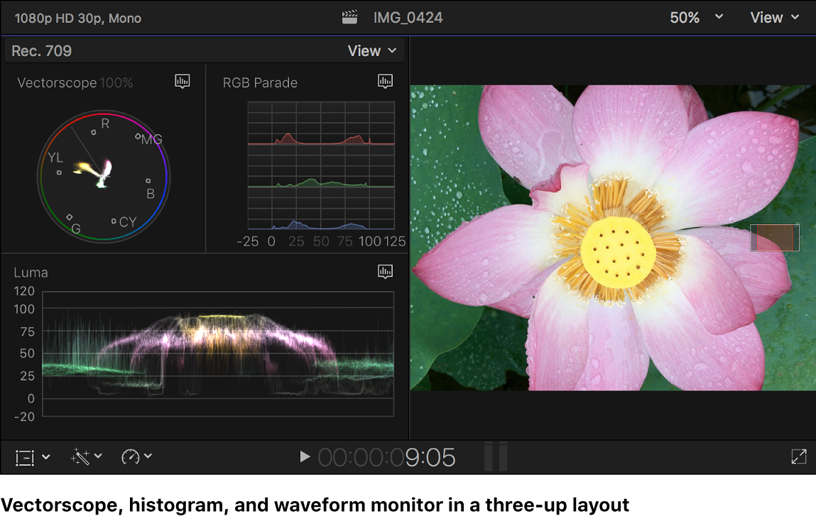 Das Vectorscope, das Histogramm „RGB-Parade“ und der Waveform-Monitor „Luma“ links neben dem Viewer