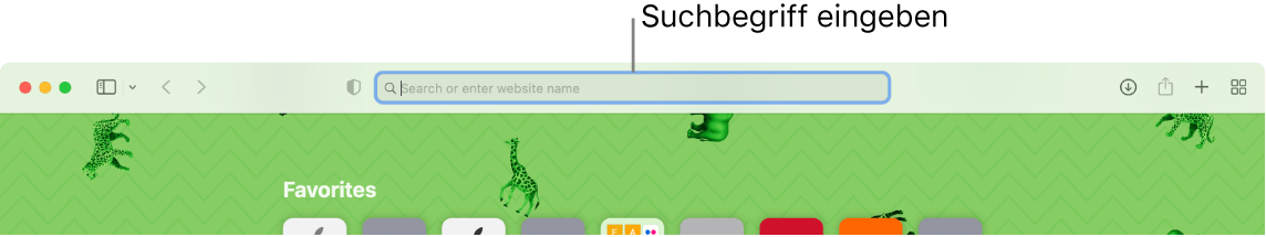 Ein abgeschnittenes Safari-Fenster mit einer Beschreibung des Suchfelds oben im Fenster.