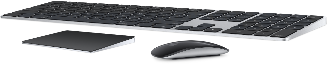 Το Magic Keyboard με αριθμητικό πληκτρολόγιο και το Magic Mouse, τα οποία παρέχονται μαζί με το Mac Pro σας.