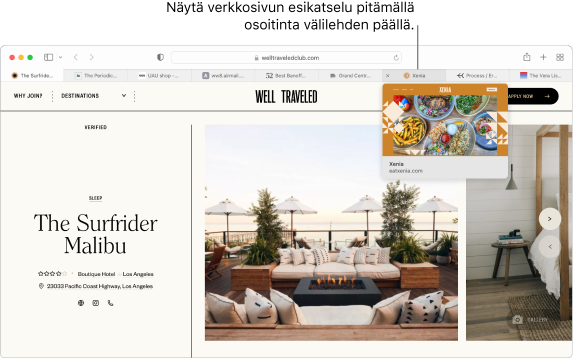 Safari-ikkuna, jossa on aktiivinen verkkosivu nimellä ”Well Traveled” ja 9 muuta välilehteä sekä selite Grand Central Market -nimiselle välilehdelle ja teksti ”Näytä verkkosivun esikatselu pitämällä osoitinta välilehden päällä.”