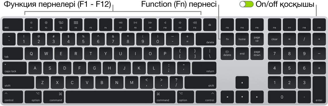 Төменгі сол жақ бұрышта Function (Fn) пернесін және пернетақтаның жоғарғы оң жақ бұрышында on/off қосқышын көрсетіп тұрған Magic Keyboard пернетақтасы.