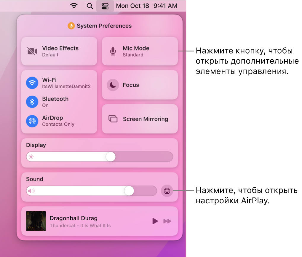 Увеличенное изображение Пункта управления на Mac.