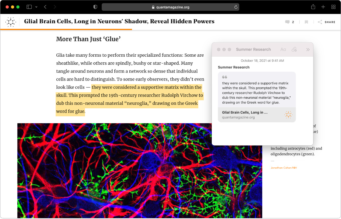 Una finestra di Safari con un testo evidenziato in un articolo di una rivista e una nota rapida chiamata “Ricerca estiva” che include il testo e un link all'articolo.