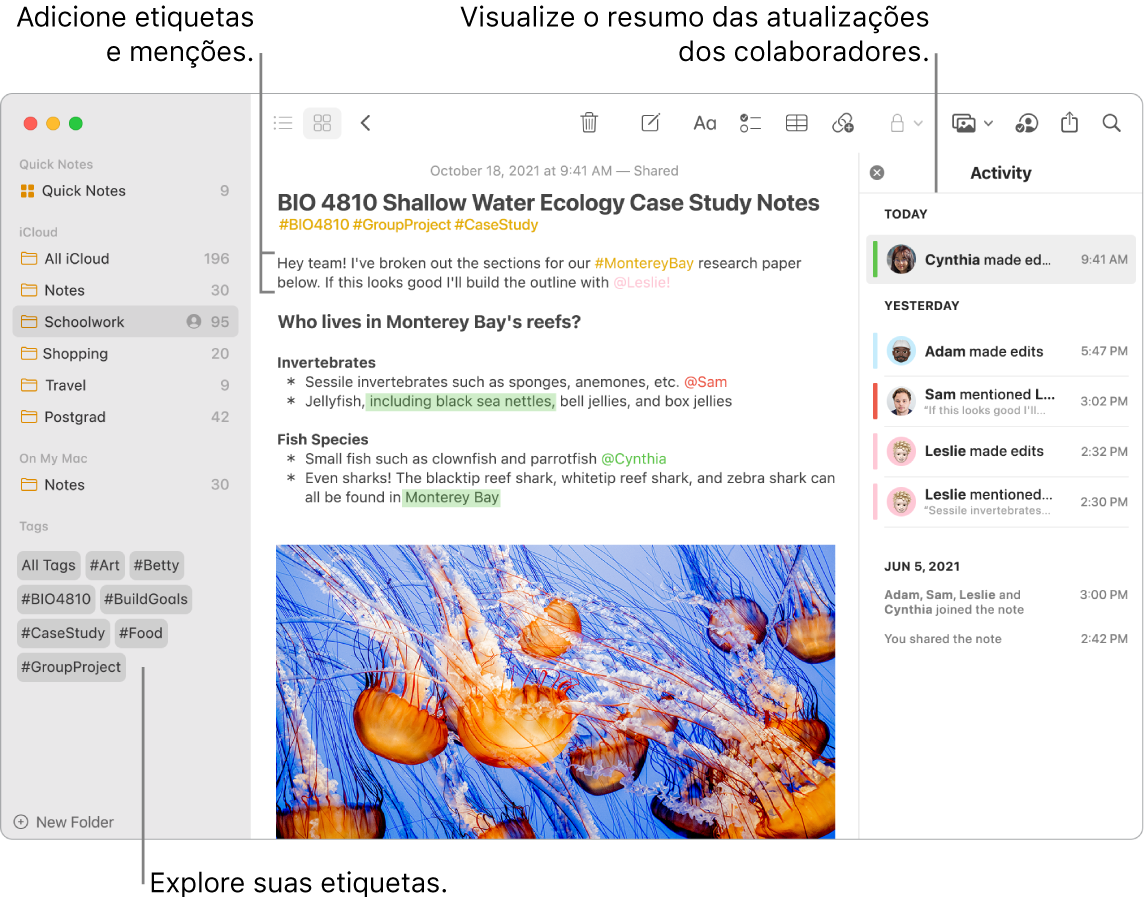 Janela do app Notas na visualização de Galeria com uma chamada para as etiquetas na barra lateral. Na nota principal, há uma chamada para uma etiqueta e uma menção. À direita, uma lista de atividade com uma chamada para visualizar um resumo das atualizações.