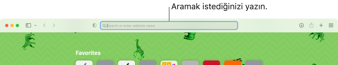 Pencerenin en üstünde arama alanı belirtme çizgisi ile kırpılmış bir Safari penceresi.