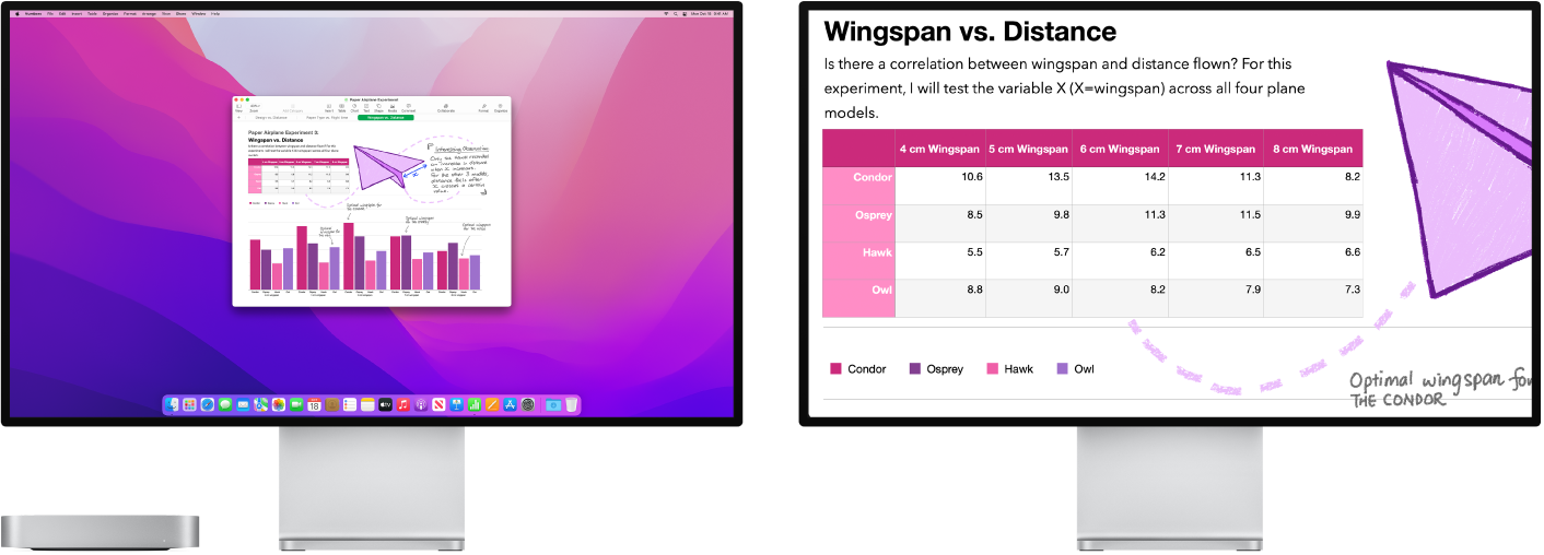 Zoom Display is active on the secondary display, while the screen size stays fixed on the left display.