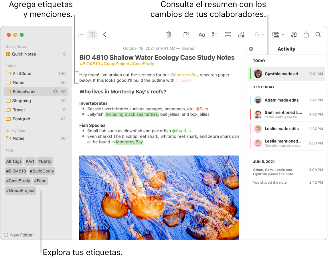 Una ventana de Notas en la visualización como galería con texto indicando las etiquetas en la barra lateral. En la nota principal, hay texto que indica una etiqueta y una mención. En la parte derecha hay una lista de actividades con texto indicando la visualización de un resumen de las actualizaciones.