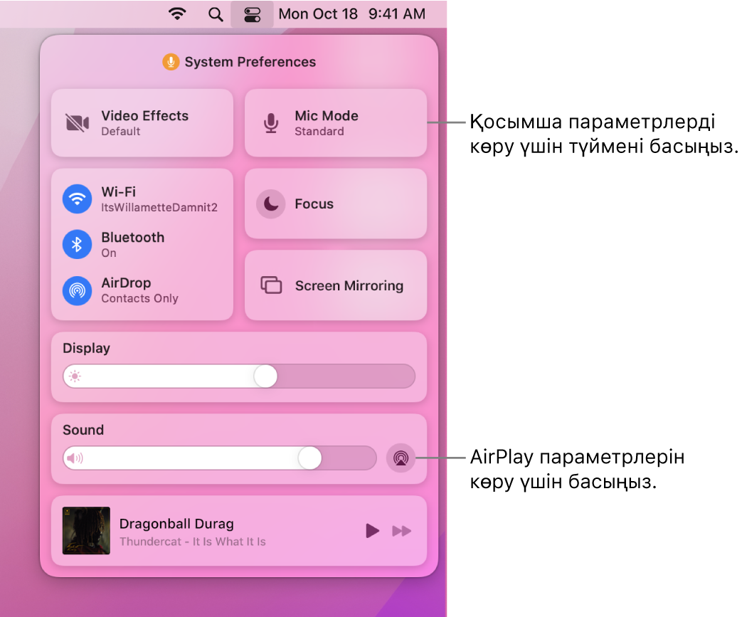 Mac компьютеріңіздегі Control Center терезесінің үлкейтілген көрінісі.