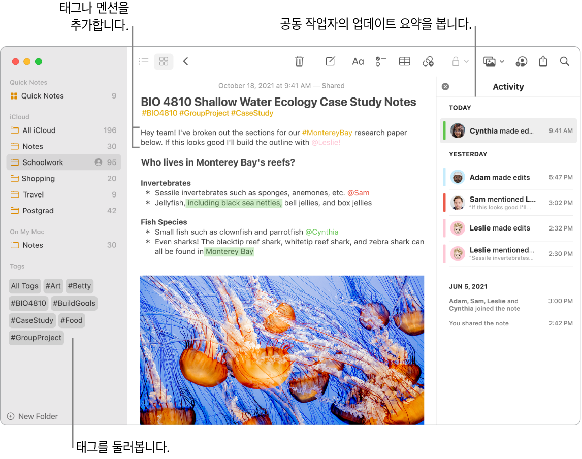 사이드바에 태그에 대한 설명이 있는 갤러리 보기의 메모 윈도우. 주 메모에는 태그 및 멘션에 대한 설명이 있음. 오른쪽에는 업데이트 요약 보기에 대한 설명이 있는 활동 목록이 있음.