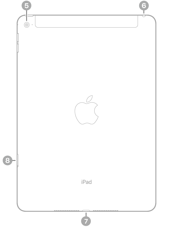 The back view of iPad Air 2 with callouts going clockwise from the top left: rear camera, headphone jack, Lightning connector, and SIM tray (Wi-Fi + Cellular).