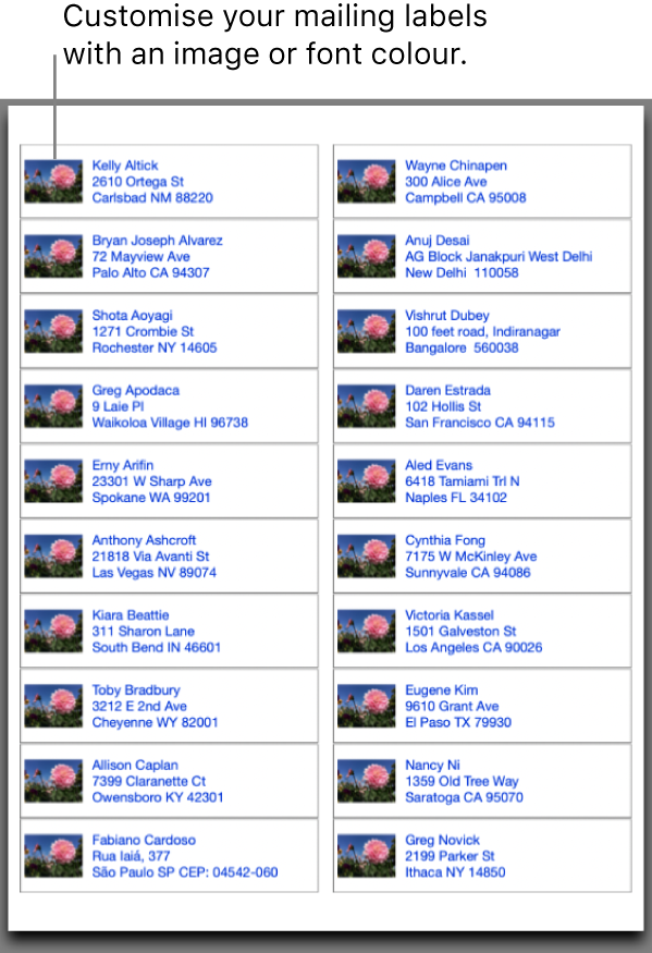 A preview of mailing labels, customised with an image and font colour and ready to print.