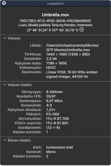Elokuvainspektori, jossa näkyy yleisiä tietoja tiedostosta, kuten tarkkuus, datakoko sekä video- ja äänimuoto. Ikkunassa näkyy myös valitun tiedoston video- ja äänitietoja.