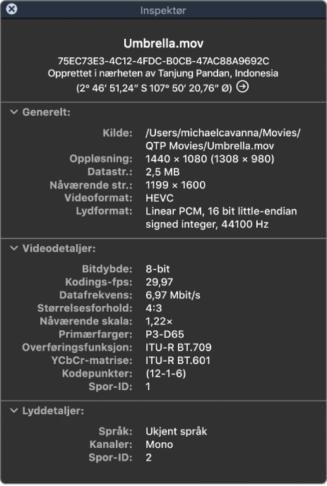 Filminspektøren viser generelle informasjon om filen inkludert oppløsning, datastørrelse og lyd- og videoformat. Vinduet viser også lyd- og videodetaljer om den markerte filen.