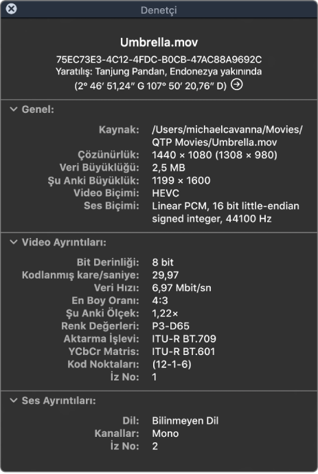 Dosya hakkında çözünürlük, veri büyüklüğü, video ve ses biçimi de dahil olmak üzere genel bilgileri gösteren Film Denetçisi. Pencere, seçili dosya hakkında video ve ses ayrıntılarını da gösterir.