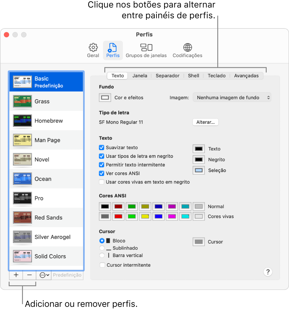 O painel Perfis do Terminal com o perfil Básico selecionado, os botões para adicionar e remover perfis, e os botões usados para alternar entre os painéis de perfis.