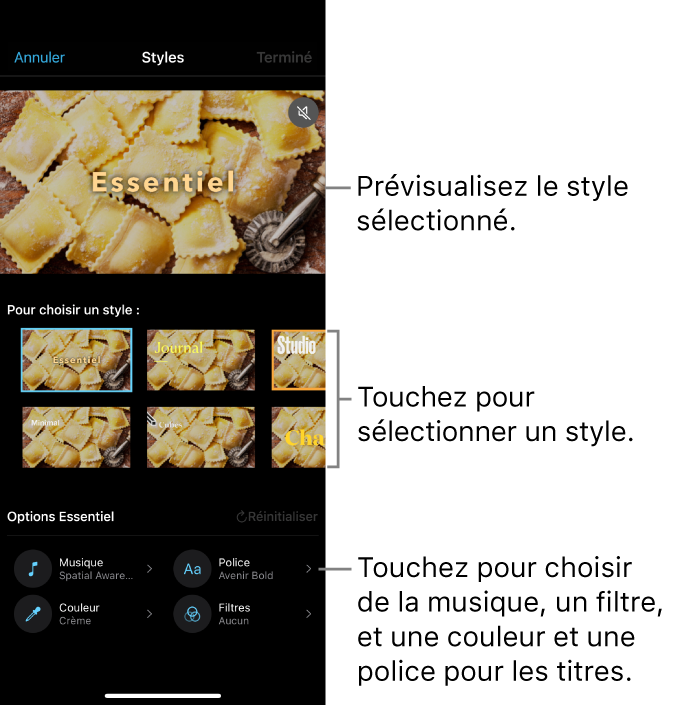 Le visualiseur affichant un aperçu d’un style sélectionné, avec des options de style en dessous. Des boutons pour ajouter de la musique, sélectionner une couleur et une police pour les titres et ajouter un filtre se trouvent en bas de l’écran.