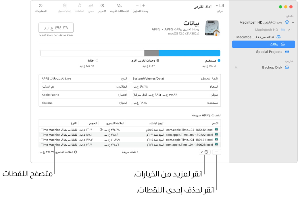 نافذة أداة القرص تظهر متصفح اللقطات السريعة.