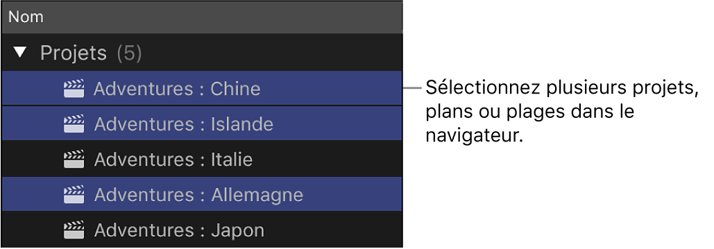 Plusieurs plans sélectionnés dans le navigateur