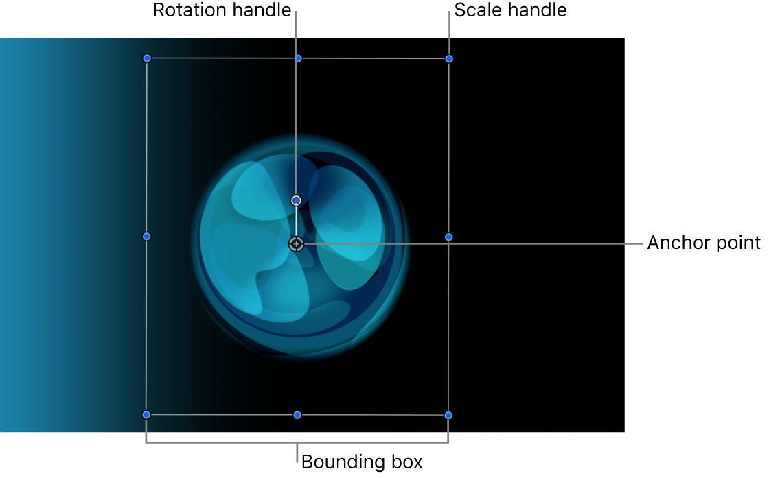 Canvas showing the standard Select/Transform controls