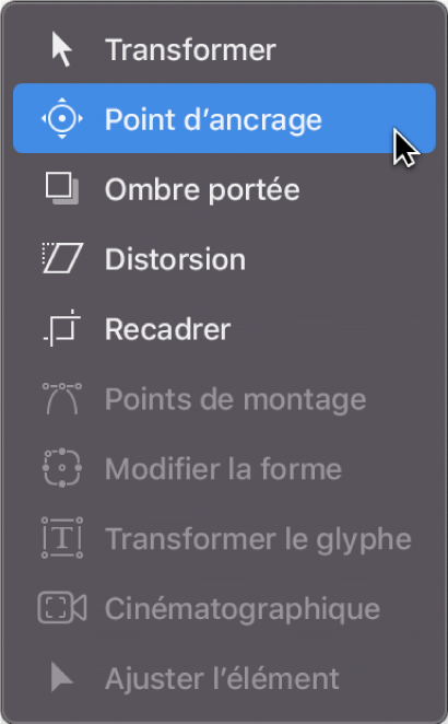 Sélection de l’outil Point d’ancrage dans le menu local des outils de transformation