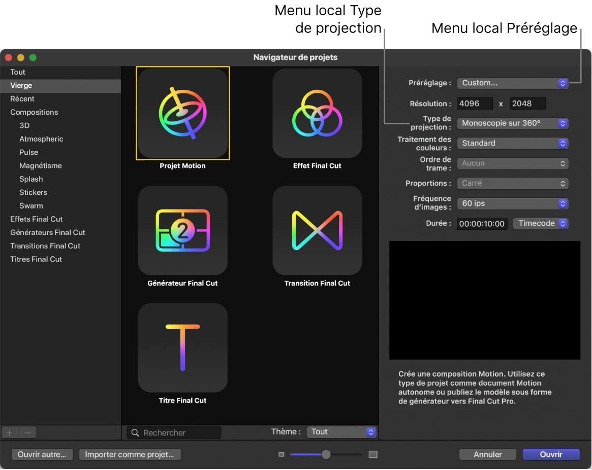 Navigateur de projets montrant le menu local Préréglage et le menu local Type de projection