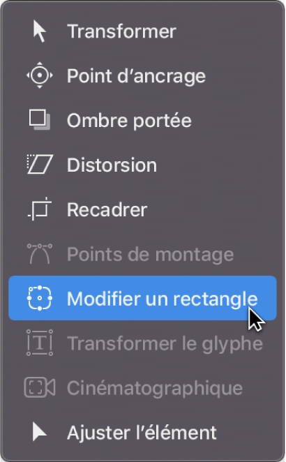 Sélection de l’outil Modifier le rectangle dans le menu local des outils de transformation