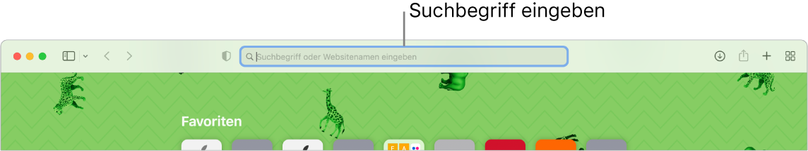 Ein abgeschnittenes Safari-Fenster mit einem Suchfeld oben im Fenster.